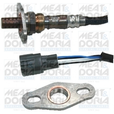 Oxygen Sensor